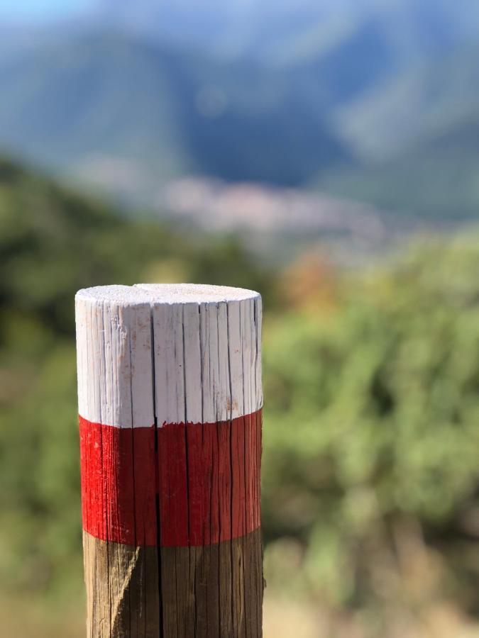 Il Minotauro B&B A 5 Minuti Da Popoli Vittorito Bagian luar foto