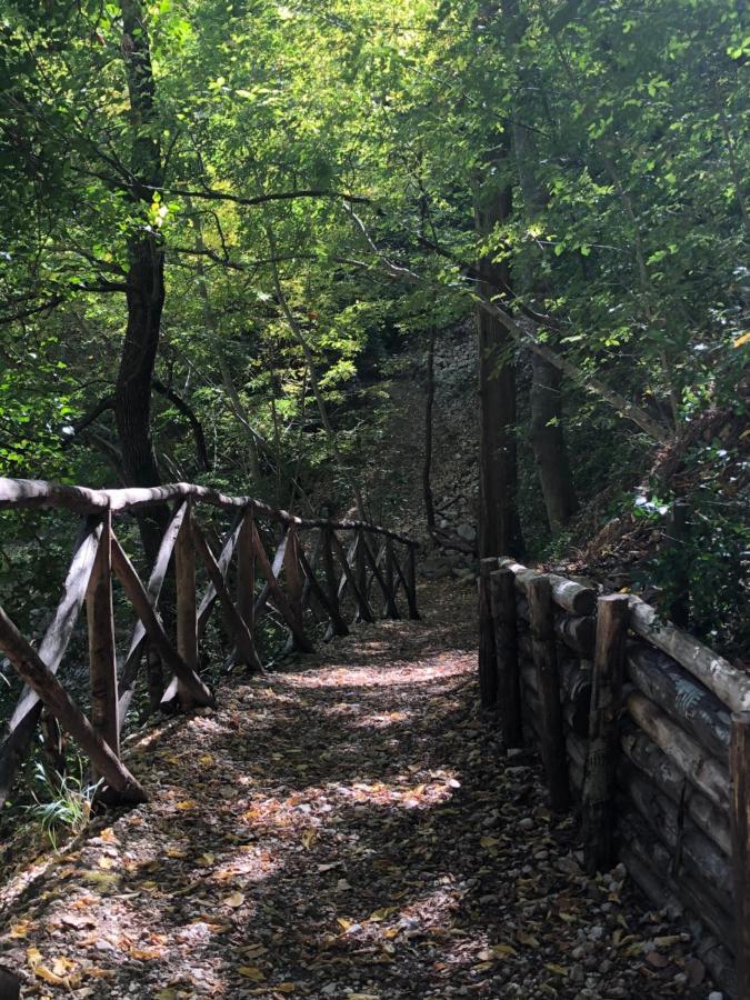 Il Minotauro B&B A 5 Minuti Da Popoli Vittorito Bagian luar foto